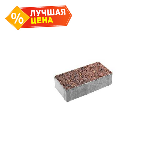 Плитка тротуарная Прямоугольник (Ла-Линия) А.2.П.4 Листопад гранит Осень 200x100x40 мм