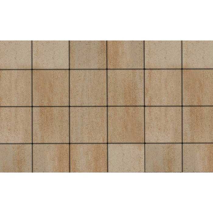 Плитка тротуарная Квадрат (ЛА-Линия) Б.1.К.6 Искусственный камень Степняк 300x300x60 мм